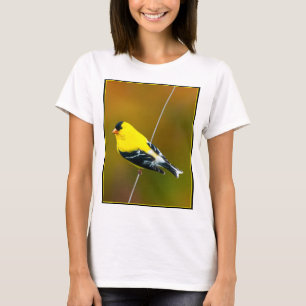 Amerikanischer Stieglitz - Originalfotografie T-Shirt