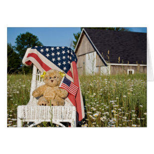 amerikanischer Stolz