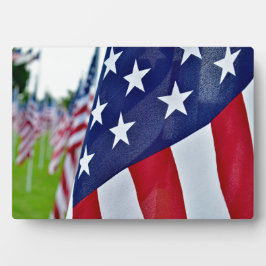 amerikanischer Stolz Fotoplatte