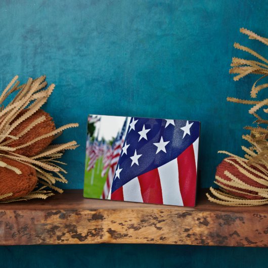 amerikanischer Stolz Fotoplatte (Seite)