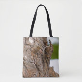 Amerikanischer Treecreeper Songbird mit leckerem B Tasche (Vorderseite)