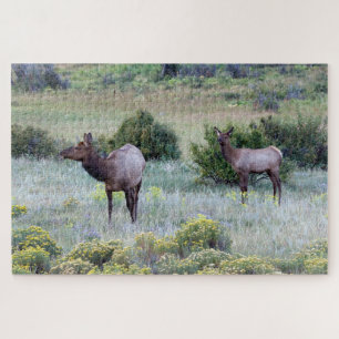 Amerikanischer Wapiti Colorado Puzzle