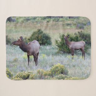 Amerikanischer Wapiti Colorado Sherpadecke