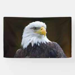 Amerikanischer Weißkopfseeadler Banner