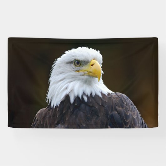 Amerikanischer Weißkopfseeadler Banner (Horizontal)