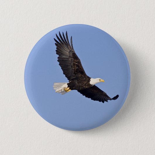 Amerikanischer Weißkopfseeadler Button (Vorderseite)