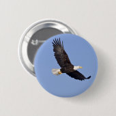 Amerikanischer Weißkopfseeadler Button (Vorne & Hinten)