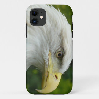 Amerikanischer Weißkopfseeadler iPhone 11 Hülle