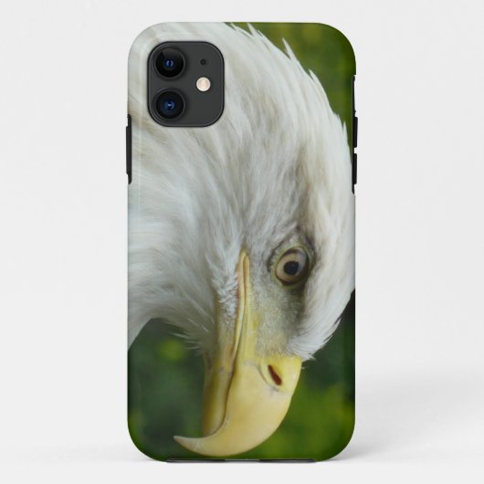 Amerikanischer Weißkopfseeadler Case-Mate iPhone Hülle (Rückseite)