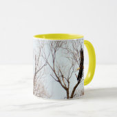 Amerikanischer Weißkopfseeadler, der das Nest Tasse (VorderseiteRechts)