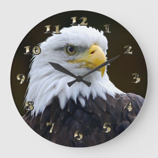 Amerikanischer Weißkopfseeadler Große Wanduhr (Vorderseite)