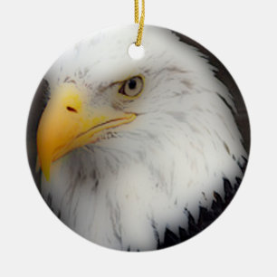 'Amerikanischer Weißkopfseeadler in Portrait Keramikornament