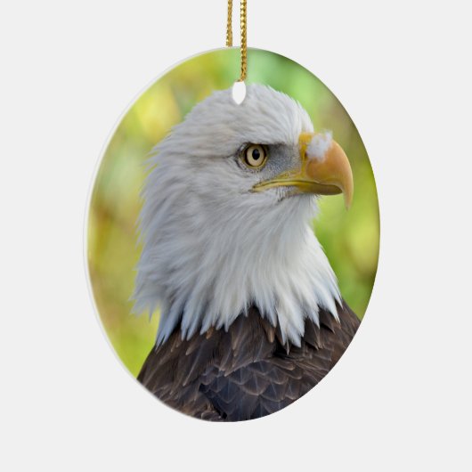 Amerikanischer Weißkopfseeadler Keramikornament (Rechts)