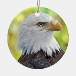 Amerikanischer Weißkopfseeadler Keramikornament