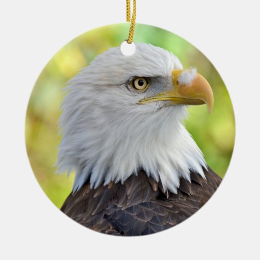 Amerikanischer Weißkopfseeadler Keramikornament (Vorne)