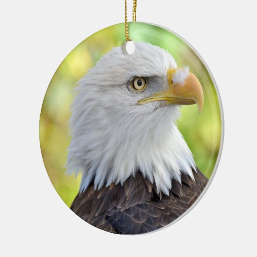 Amerikanischer Weißkopfseeadler Keramikornament (Links)