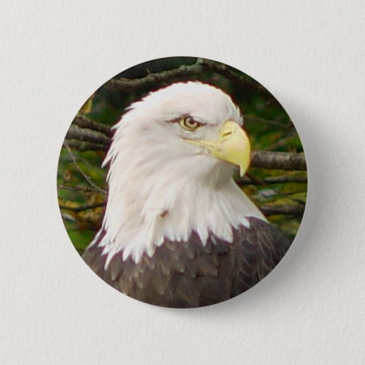 Amerikanischer Weißkopfseeadler-Knopf Button (Vorderseite)