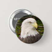 Amerikanischer Weißkopfseeadler-Knopf Button (Vorne & Hinten)