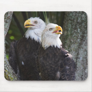 Amerikanischer Weißkopfseeadler Mousepad