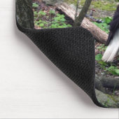 Amerikanischer Weißkopfseeadler Mousepad (Ecke)