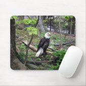 Amerikanischer Weißkopfseeadler Mousepad (Mit Mouse)