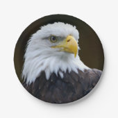 Amerikanischer Weißkopfseeadler Pappteller (Vorderseite)