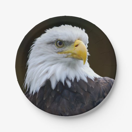 Amerikanischer Weißkopfseeadler Pappteller (Vorderseite)