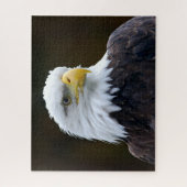 Amerikanischer Weißkopfseeadler Puzzle (Vertikal)