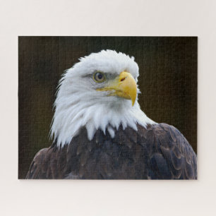 Amerikanischer Weißkopfseeadler Puzzle