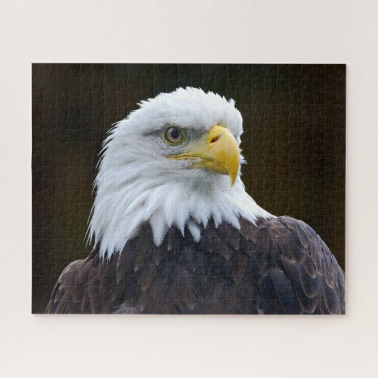 Amerikanischer Weißkopfseeadler Puzzle (Horizontal)