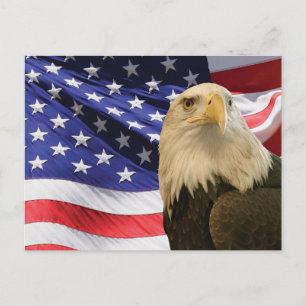 Amerikanischer Weißkopfseeadler und Flagge Postkarte