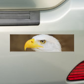 Amerikanischer WeißkopfseeadlerHaliaeetus Autoaufkleber (Auf Auto)