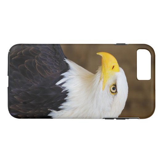 Amerikanischer WeißkopfseeadlerHaliaeetus Case-Mate iPhone Hülle (Rückseite (Horizontal))