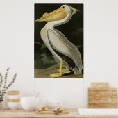 Amerikanischer Weißpelikan, Audubons Vögel von Ame Poster (Küche)