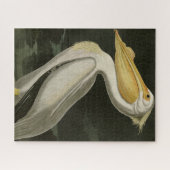 Amerikanischer Weißpelikan, Audubons Vögel von Ame Puzzle (Horizontal)