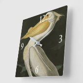 Amerikanischer Weißpelikan, Audubons Vögel von Ame Quadratische Wanduhr (Winkel)