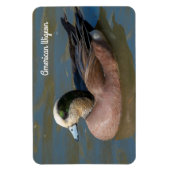 Amerikanischer Wigeon Magnet (Vertikal)