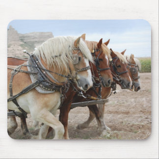 Amerikanisches Arbeits-Pferd Mousepad