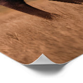 amerikanisches Bison Buffalo Poster (Ecke)