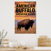amerikanisches Bison Buffalo Poster (Küche)
