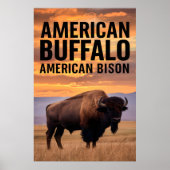 amerikanisches Bison Buffalo Poster (Vorne)