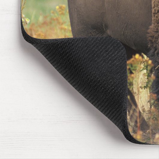 Amerikanisches Bison in der Reichweite Mousepad (Ecke)