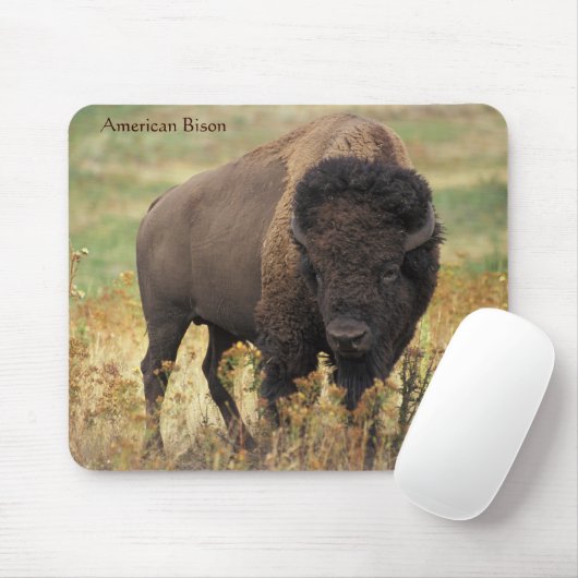 Amerikanisches Bison in der Reichweite Mousepad (Mit Mouse)