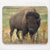 Amerikanisches Bison in der Reichweite Mousepad (Vorne)