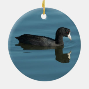 Amerikanisches Blässhuhn Keramik Ornament