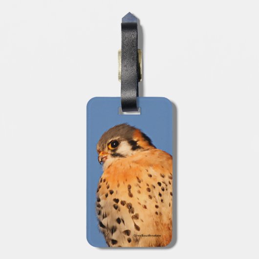 Amerikanisches Eichhörnchen auf einem Wirt Gepäckanhänger (Rückseite vertikal)