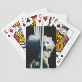 Amerikanisches Eskimo (Eskie) Spinnen im Schatten Spielkarten