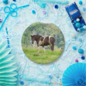 Amerikanisches gestrichenes Pferd auf dem Feld Pappteller (Party)