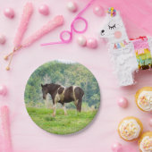 Amerikanisches gestrichenes Pferd auf dem Feld Pappteller (Party)