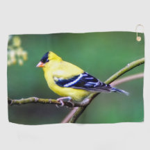 Amerikanisches Goldfinch-Golf-Tuch